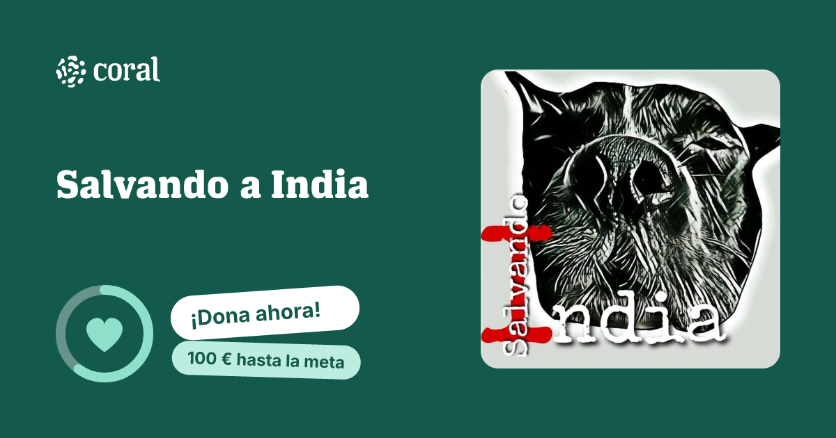 Vista previa de Salvando a India al compartir en redes sociales
