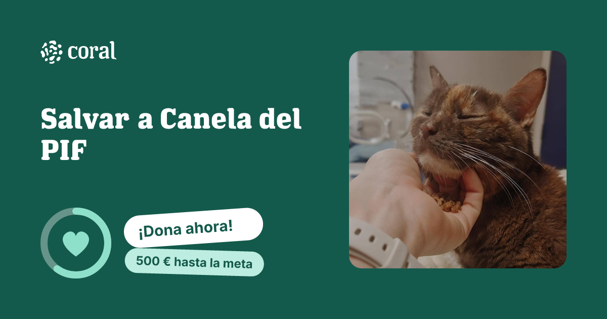 Vista previa de Salvar a Canela del PIF al compartir en redes sociales