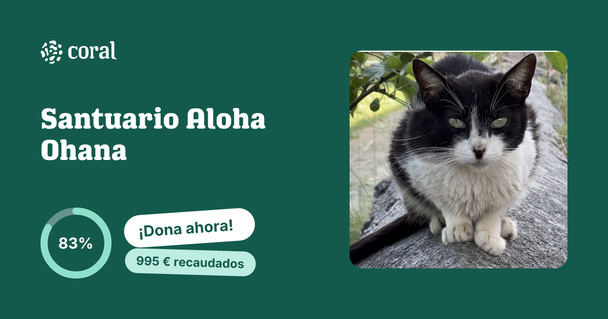 Vista previa de Santuario Aloha Ohana al compartir en redes sociales