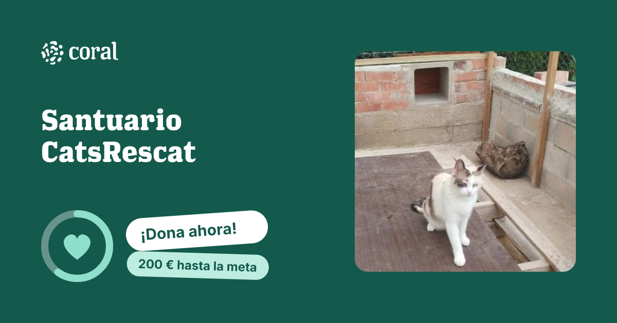 Vista previa de Santuario CatsRescat al compartir en redes sociales