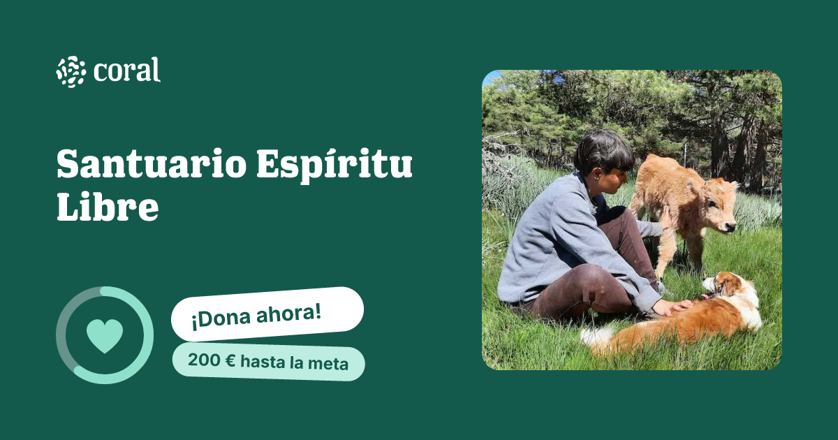 Vista previa de Santuario Espíritu Libre al compartir en redes sociales