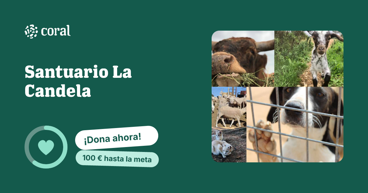 Vista previa de Santuario La Candela al compartir en redes sociales