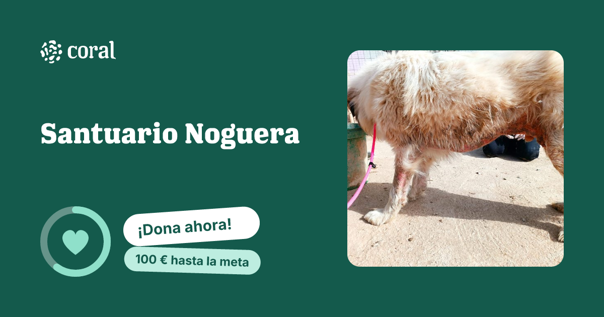 Vista previa de Santuario Noguera al compartir en redes sociales
