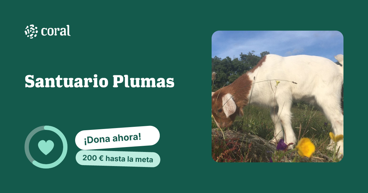 Vista previa de Santuario Plumas al compartir en redes sociales