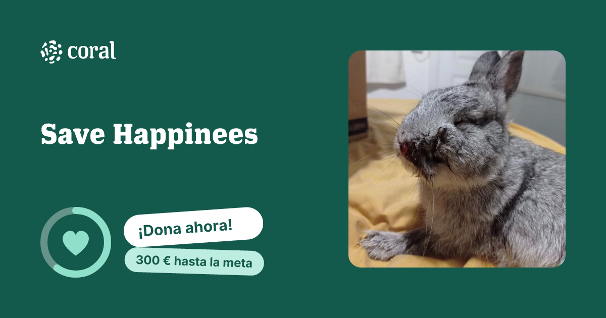 Vista previa de Save Happinees al compartir en redes sociales