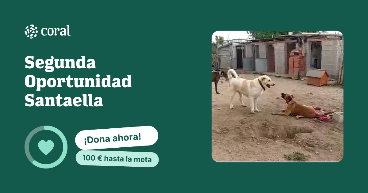 Vista previa de Segunda Oportunidad Santaella al compartir en redes sociales