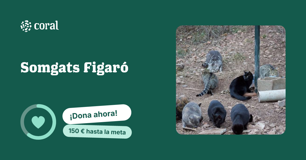 Vista previa de Somgats Figaró al compartir en redes sociales