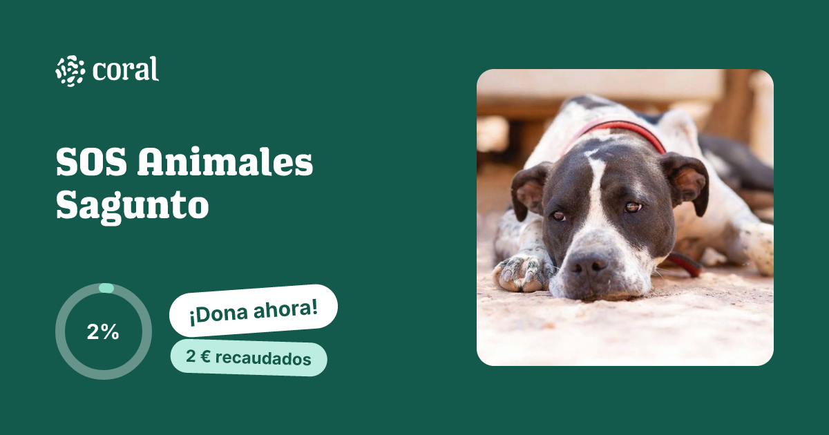 Vista previa de SOS Animales Sagunto al compartir en redes sociales