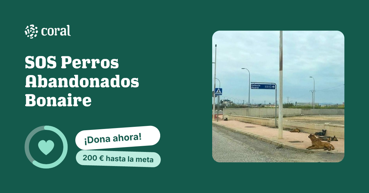 Vista previa de SOS Perros Abandonados Bonaire al compartir en redes sociales