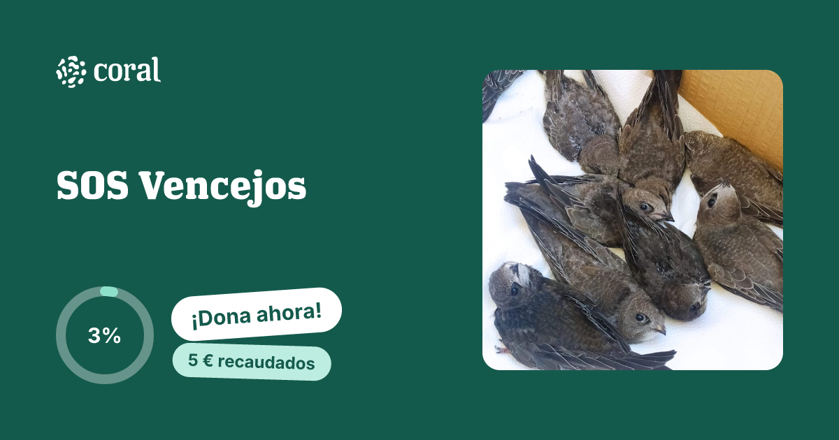 Vista previa de SOS Vencejos al compartir en redes sociales