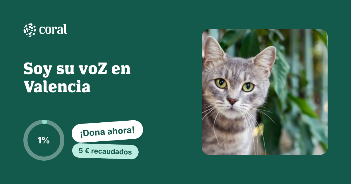 Vista previa de Soy su voZ en Valencia al compartir en redes sociales