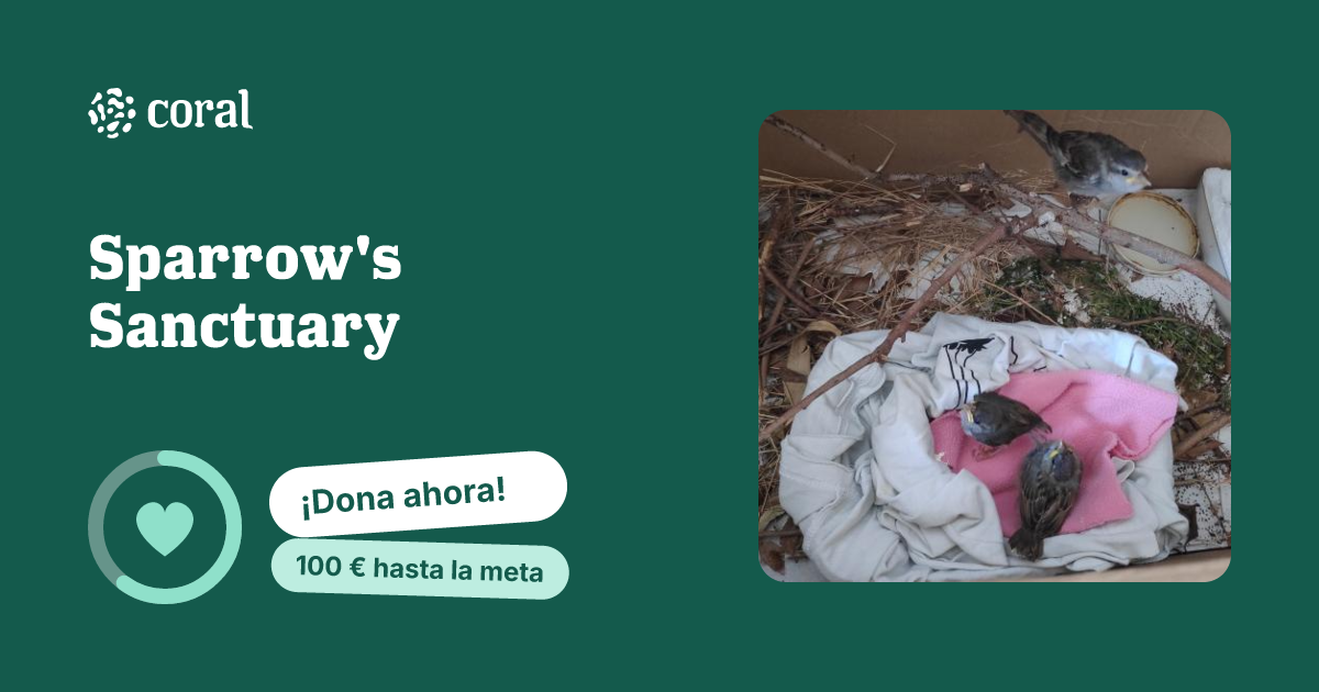 Vista previa de Sparrow's Sanctuary al compartir en redes sociales