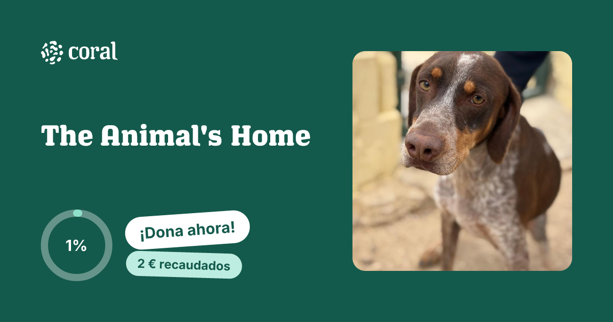 Vista previa de The Animal's Home al compartir en redes sociales